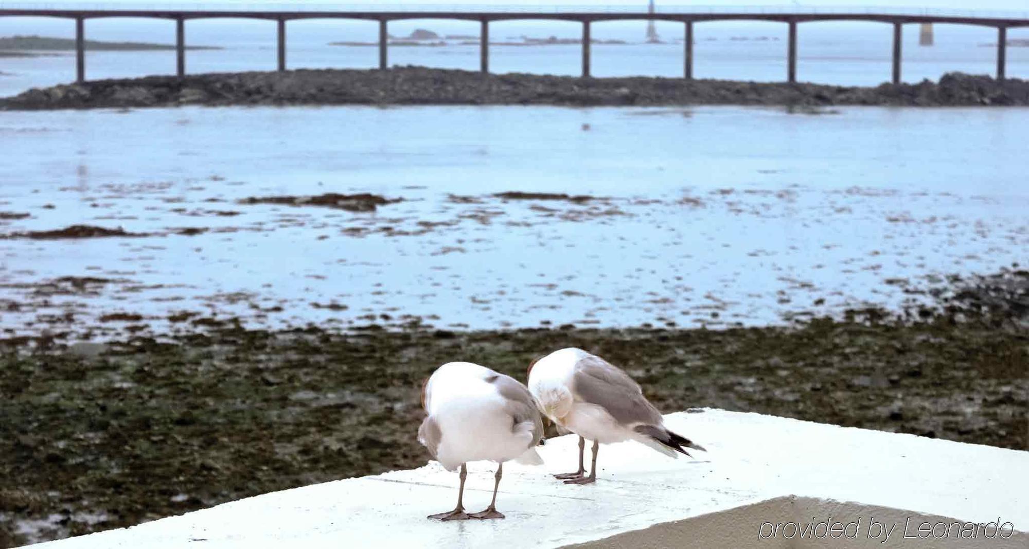 Ibis Roscoff Hotel Exterior photo